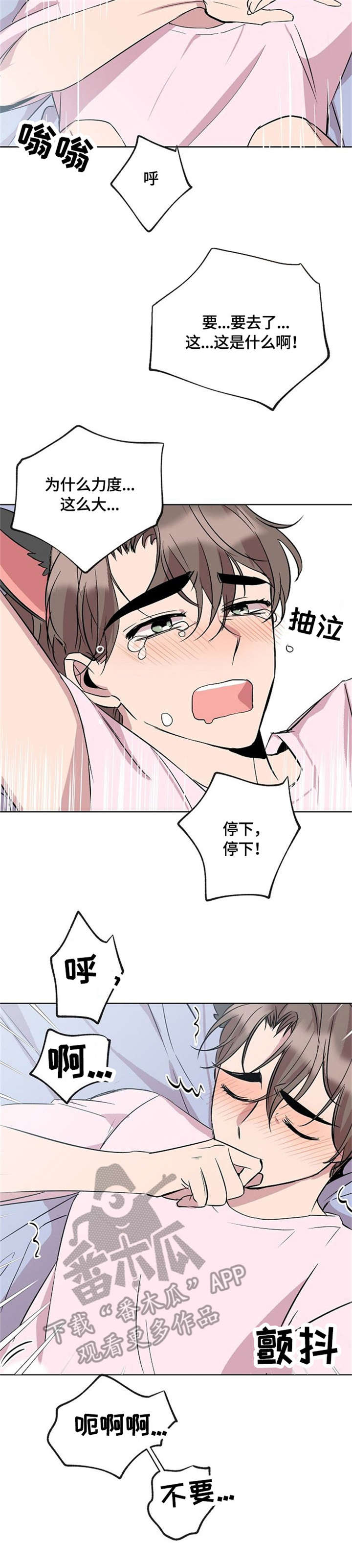 《请你收留我》漫画最新章节第15章：猫耳免费下拉式在线观看章节第【4】张图片