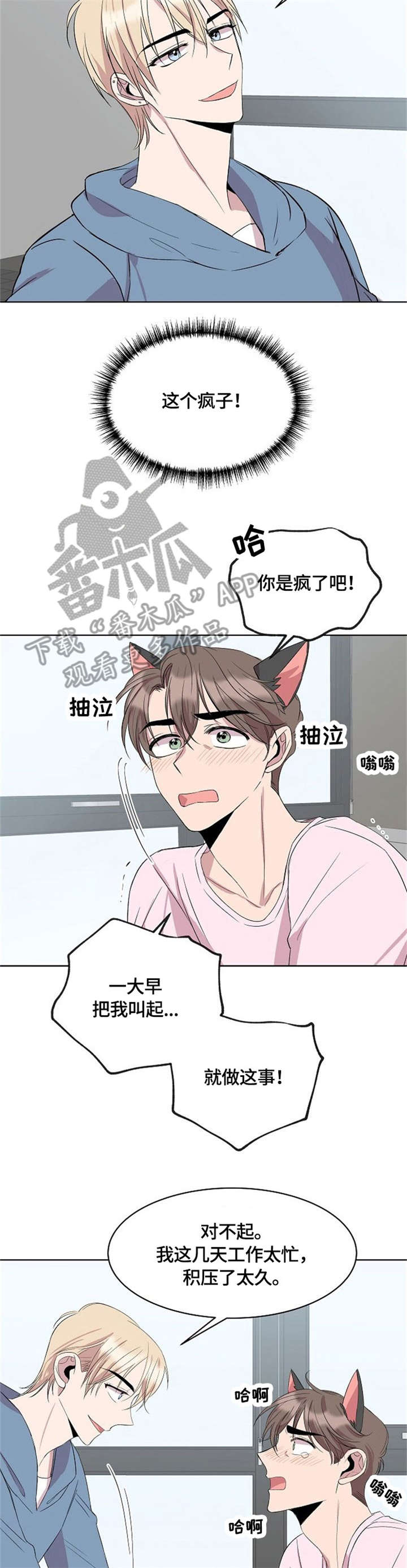 《请你收留我》漫画最新章节第15章：猫耳免费下拉式在线观看章节第【11】张图片