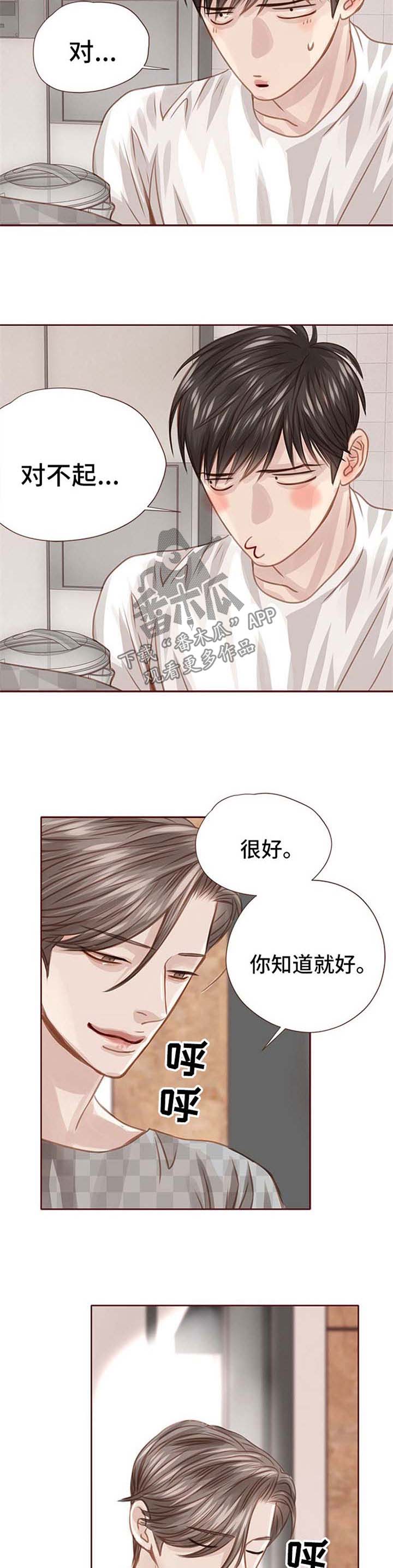 《轻狂年少》漫画最新章节第41章：只是因为喜欢你免费下拉式在线观看章节第【8】张图片