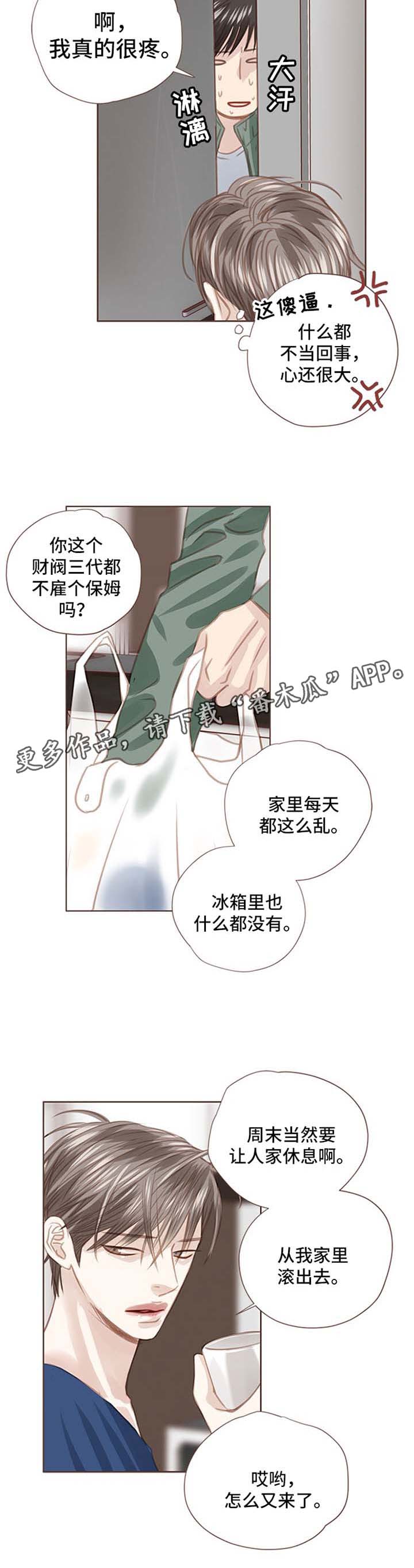 《轻狂年少》漫画最新章节第48章：朴宇成到来免费下拉式在线观看章节第【6】张图片