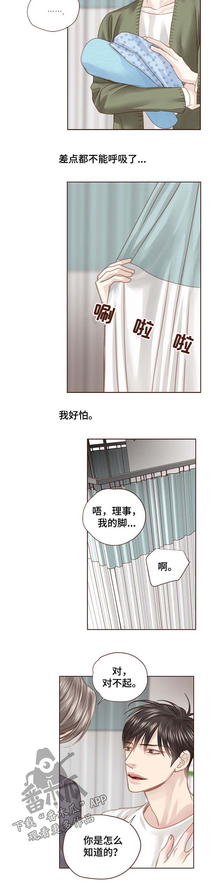 《轻狂年少》漫画最新章节第92章：调查结果免费下拉式在线观看章节第【5】张图片