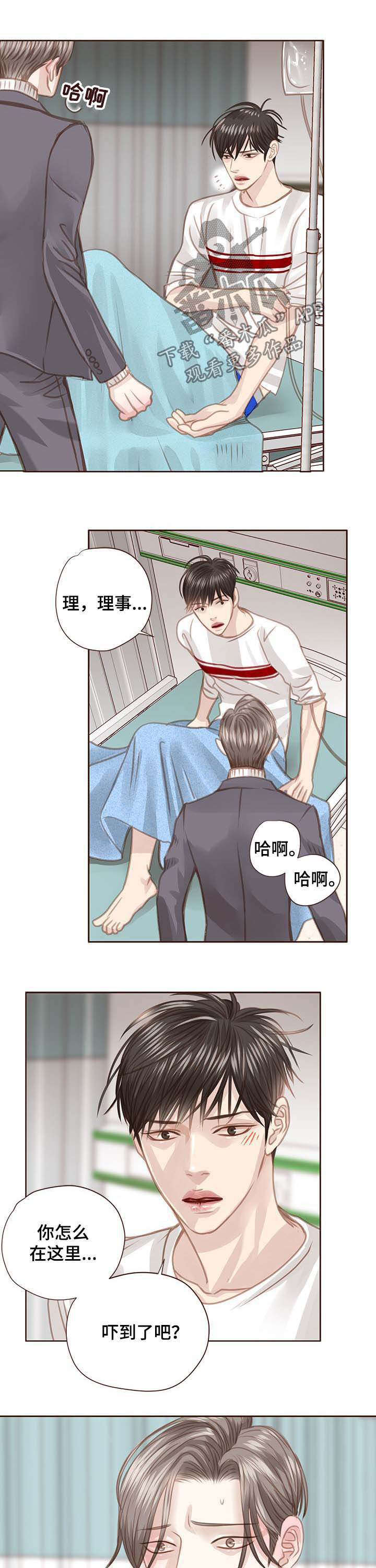 《轻狂年少》漫画最新章节第92章：调查结果免费下拉式在线观看章节第【9】张图片