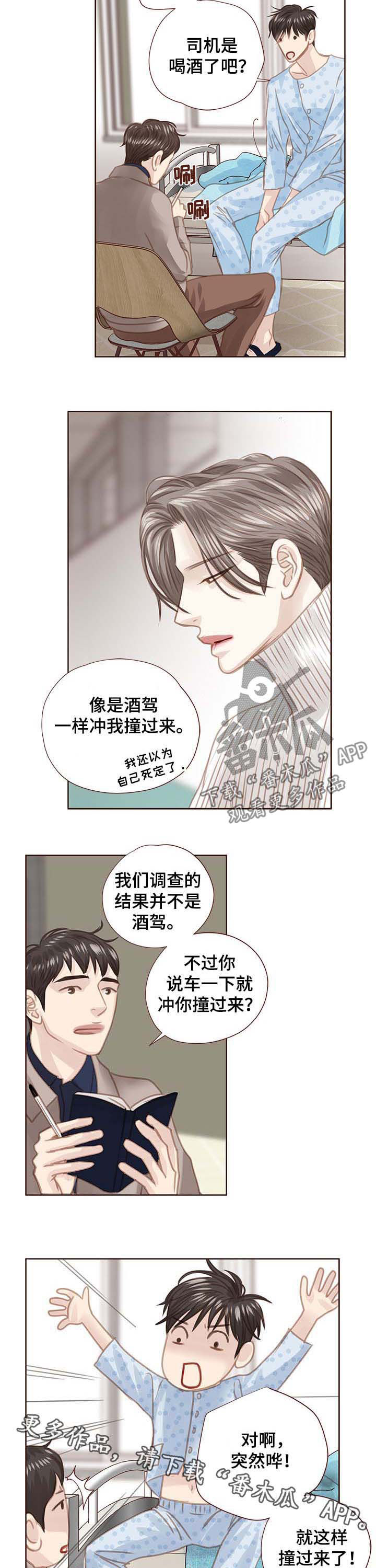 《轻狂年少》漫画最新章节第92章：调查结果免费下拉式在线观看章节第【2】张图片