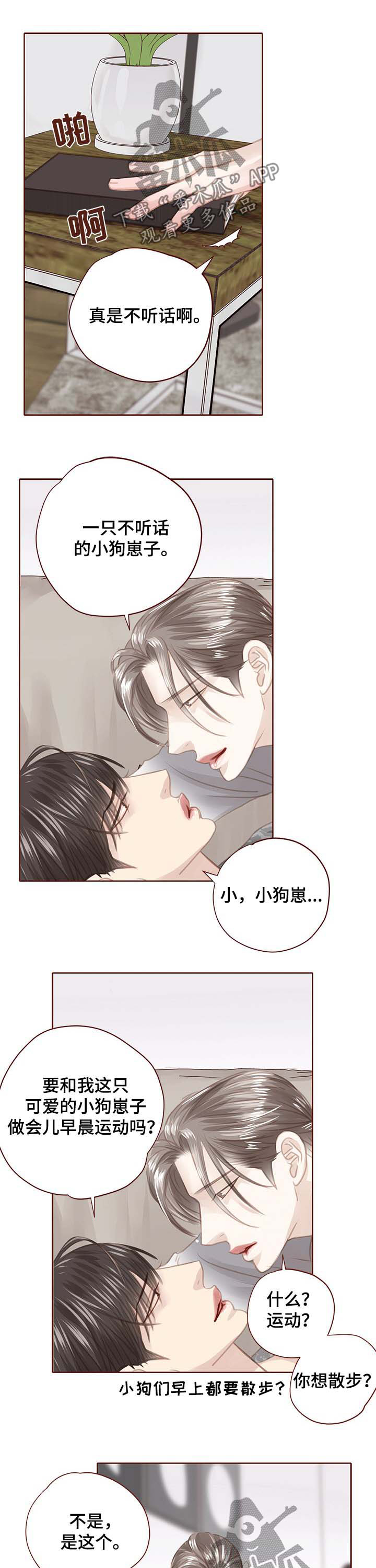 《轻狂年少》漫画最新章节第121章：绑架免费下拉式在线观看章节第【5】张图片