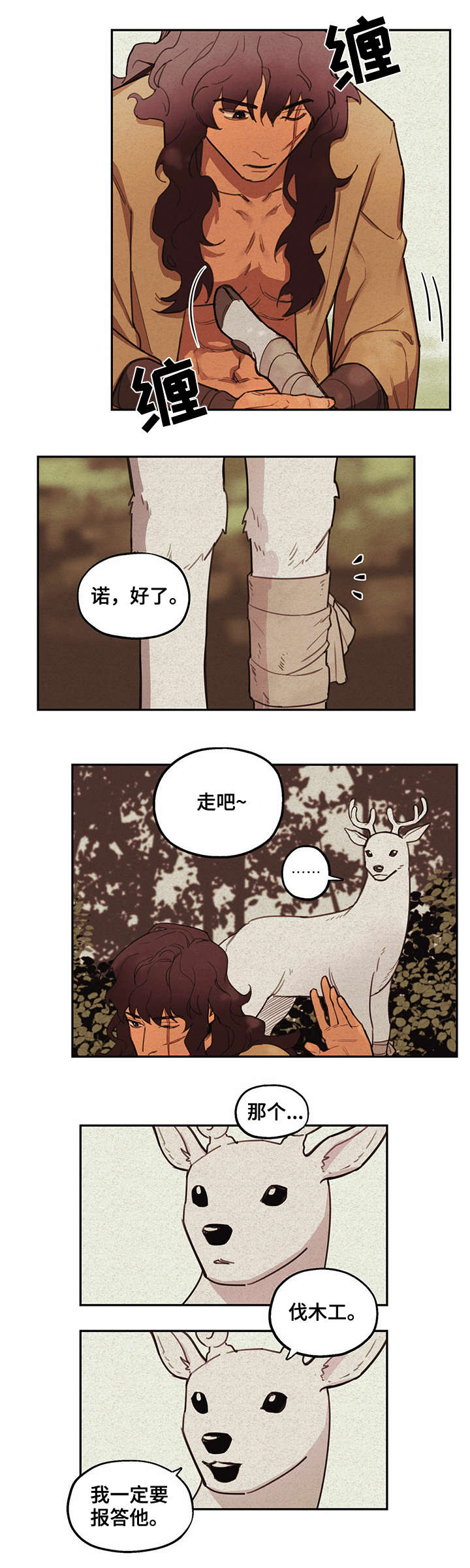 《我不是樵夫》漫画最新章节第2章：包扎免费下拉式在线观看章节第【5】张图片