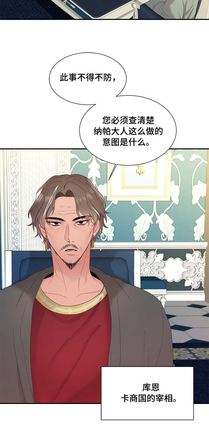 《陌生王妃》漫画最新章节第12章：消息免费下拉式在线观看章节第【8】张图片