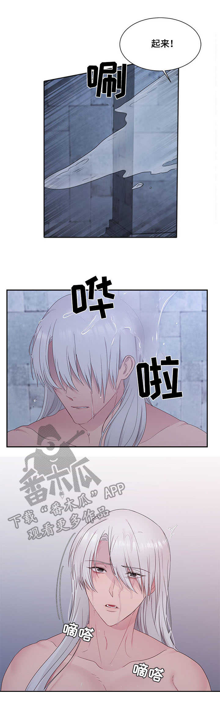 《陌生王妃》漫画最新章节第24章：责罚免费下拉式在线观看章节第【4】张图片