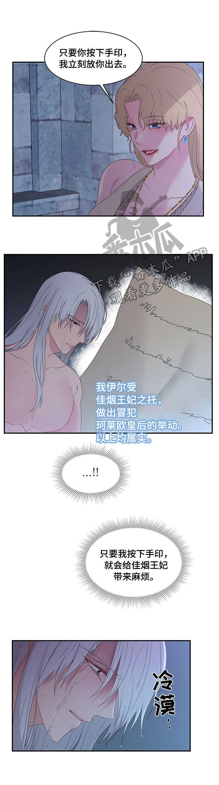 《陌生王妃》漫画最新章节第25章：鞭刑免费下拉式在线观看章节第【13】张图片