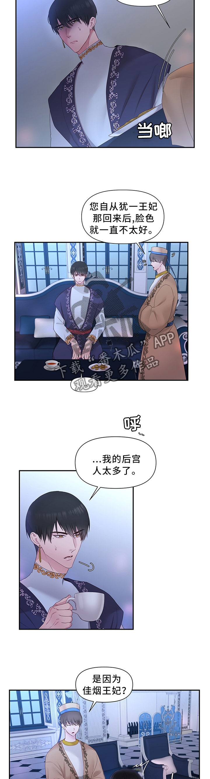 《陌生王妃》漫画最新章节第40章：钟爱一人免费下拉式在线观看章节第【3】张图片