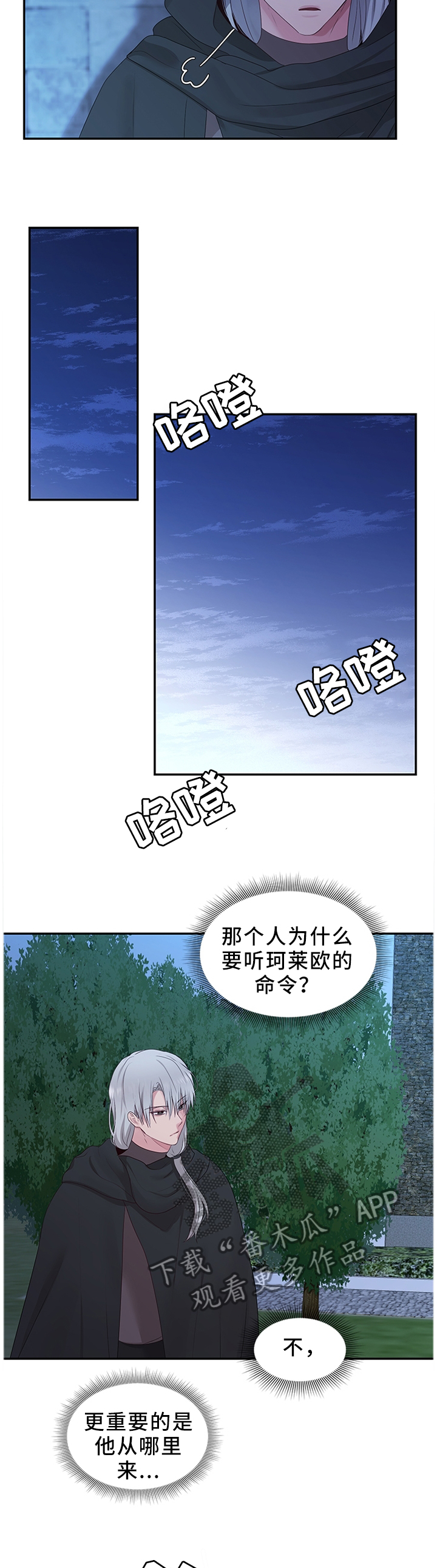 《陌生王妃》漫画最新章节第44章：调查清楚免费下拉式在线观看章节第【4】张图片