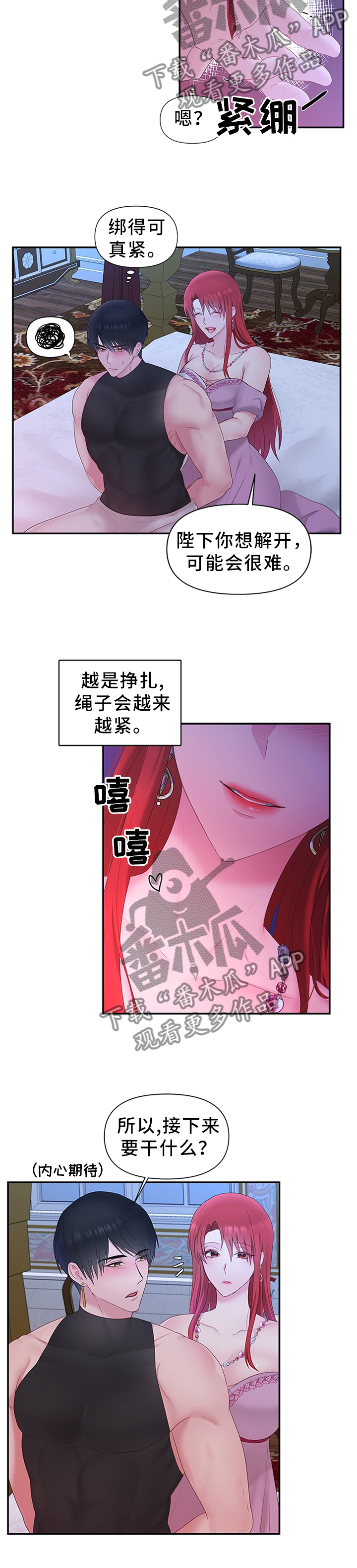 《陌生王妃》漫画最新章节第48章：下一步的计划免费下拉式在线观看章节第【3】张图片