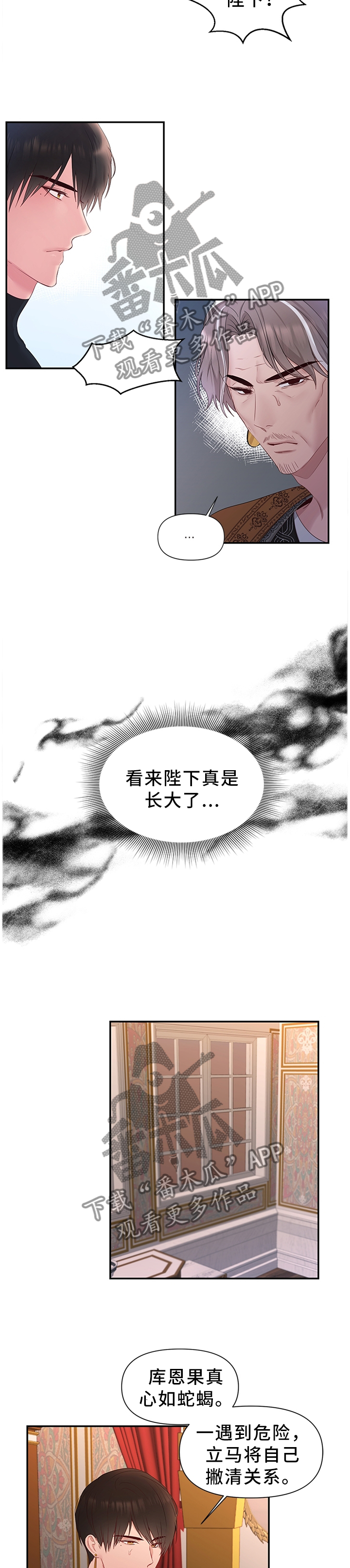 《陌生王妃》漫画最新章节第48章：下一步的计划免费下拉式在线观看章节第【9】张图片