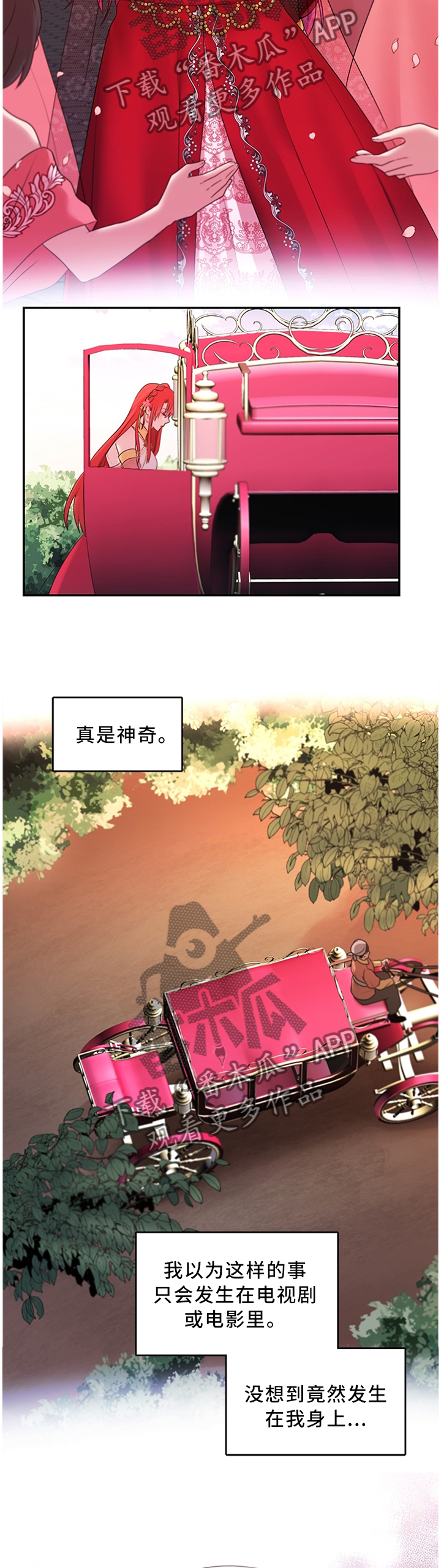 《陌生王妃》漫画最新章节第62章：女王花免费下拉式在线观看章节第【4】张图片