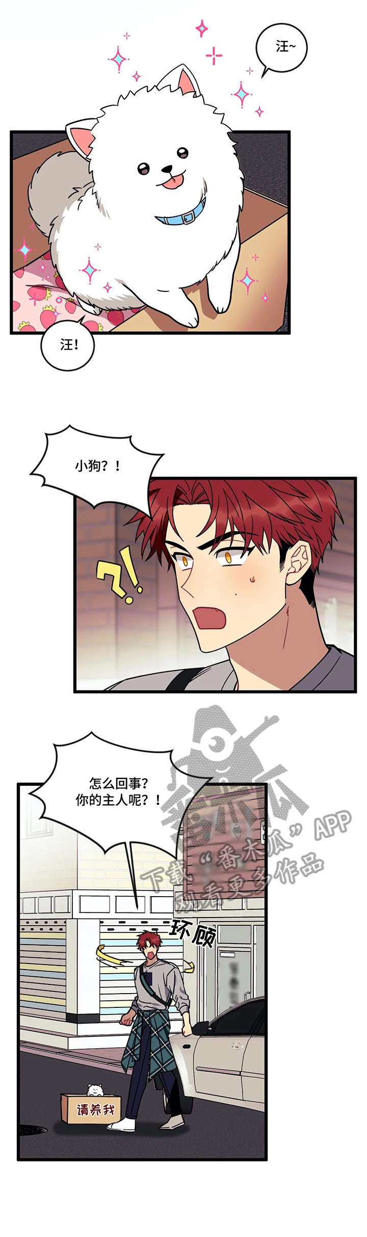 《愿望使命》漫画最新章节第21章：流浪狗免费下拉式在线观看章节第【2】张图片