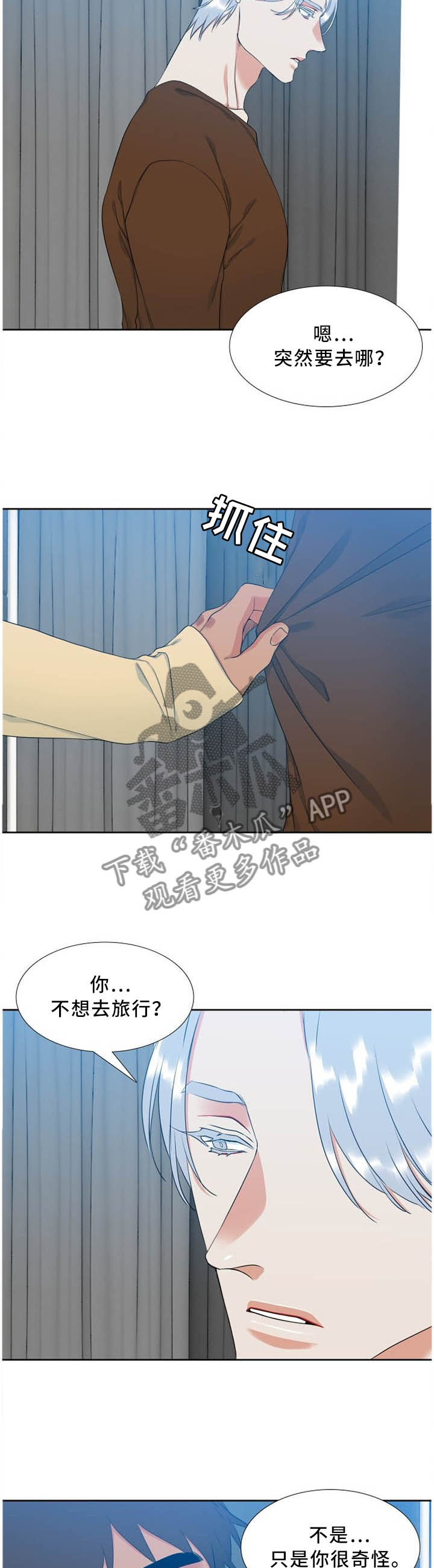 候鸟-第178章：保护期全彩韩漫标签