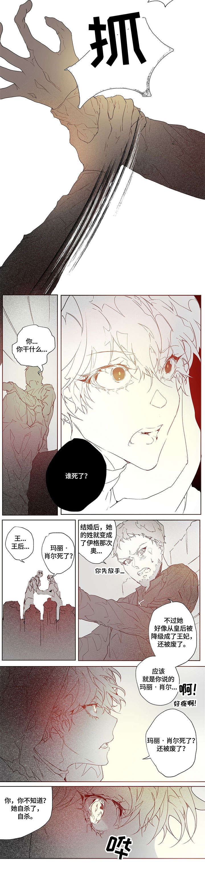 《面纱里的影》漫画最新章节第2章：介绍书免费下拉式在线观看章节第【7】张图片