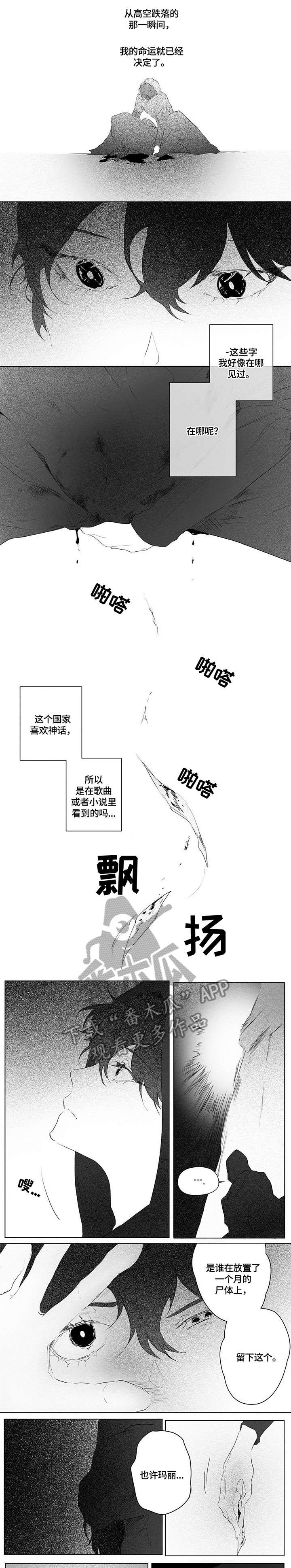 《面纱里的影》漫画最新章节第4章：尸体免费下拉式在线观看章节第【2】张图片