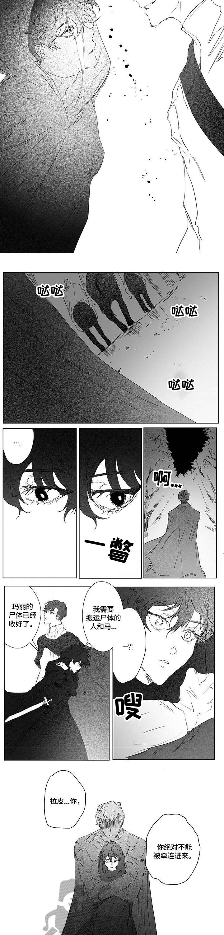 《面纱里的影》漫画最新章节第5章：见面免费下拉式在线观看章节第【2】张图片