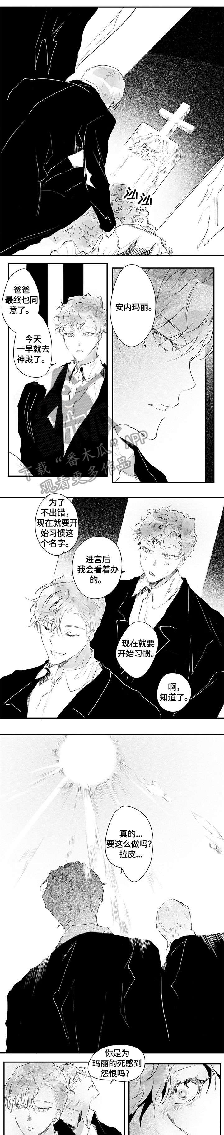 《面纱里的影》漫画最新章节第10章：相像免费下拉式在线观看章节第【9】张图片