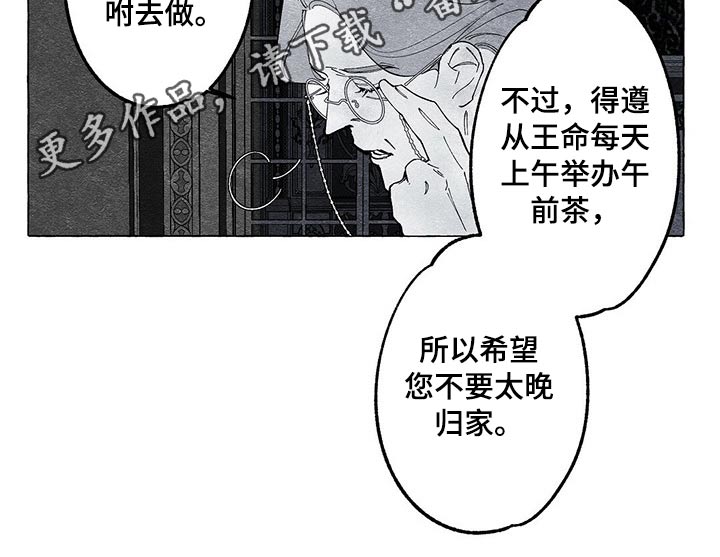 《面纱里的影》漫画最新章节第16章：探查免费下拉式在线观看章节第【1】张图片