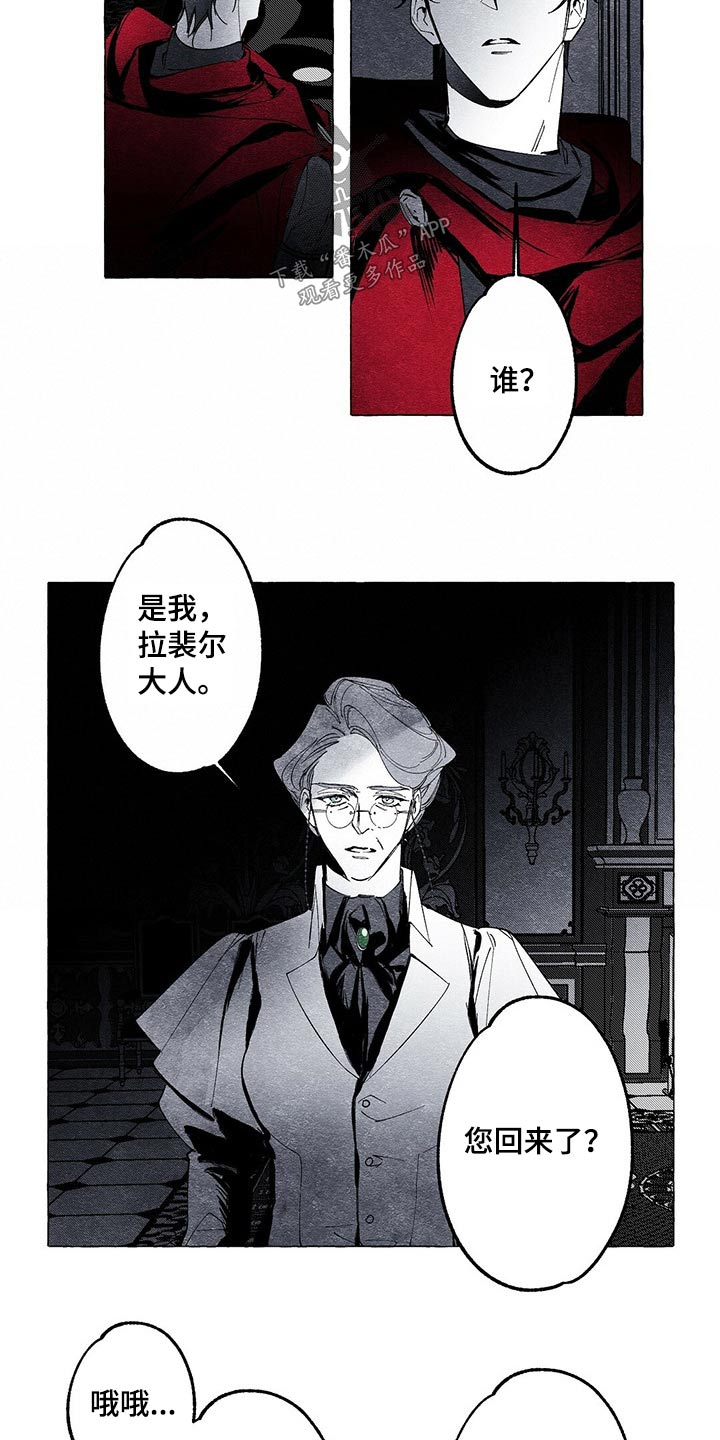 《面纱里的影》漫画最新章节第16章：探查免费下拉式在线观看章节第【4】张图片