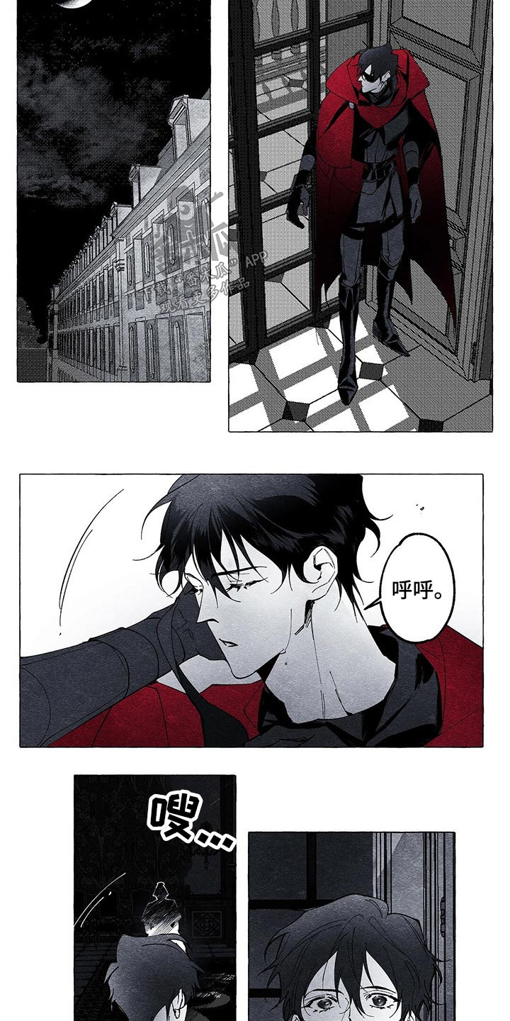 《面纱里的影》漫画最新章节第16章：探查免费下拉式在线观看章节第【5】张图片