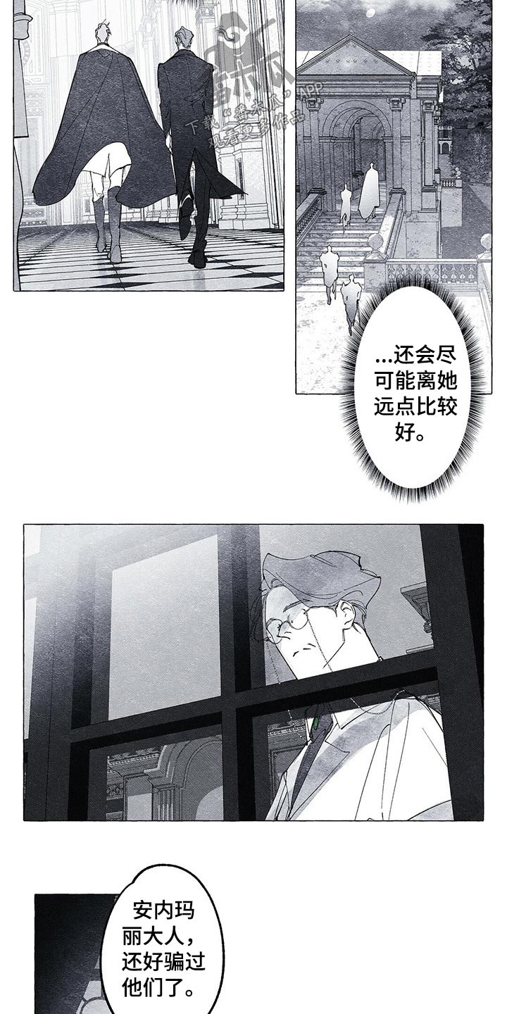 《面纱里的影》漫画最新章节第19章：装扮免费下拉式在线观看章节第【5】张图片