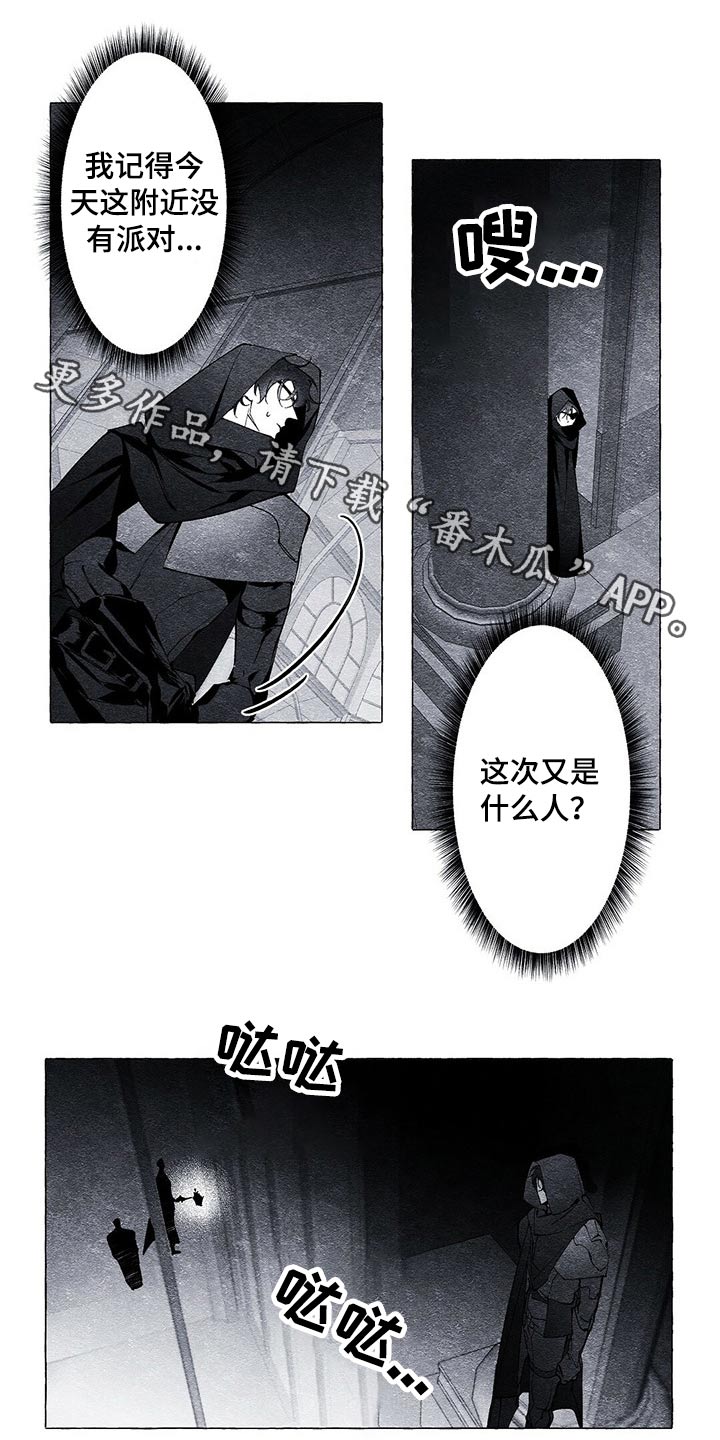 《面纱里的影》漫画最新章节第21章：发现免费下拉式在线观看章节第【16】张图片