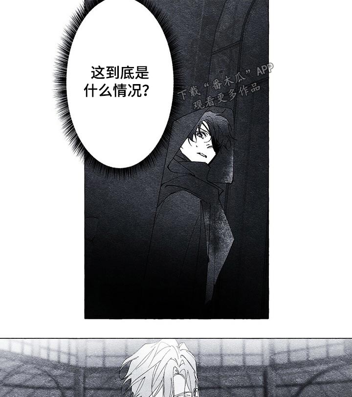 《面纱里的影》漫画最新章节第21章：发现免费下拉式在线观看章节第【9】张图片