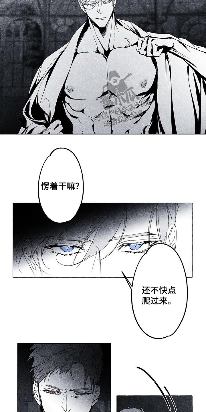 《面纱里的影》漫画最新章节第21章：发现免费下拉式在线观看章节第【8】张图片