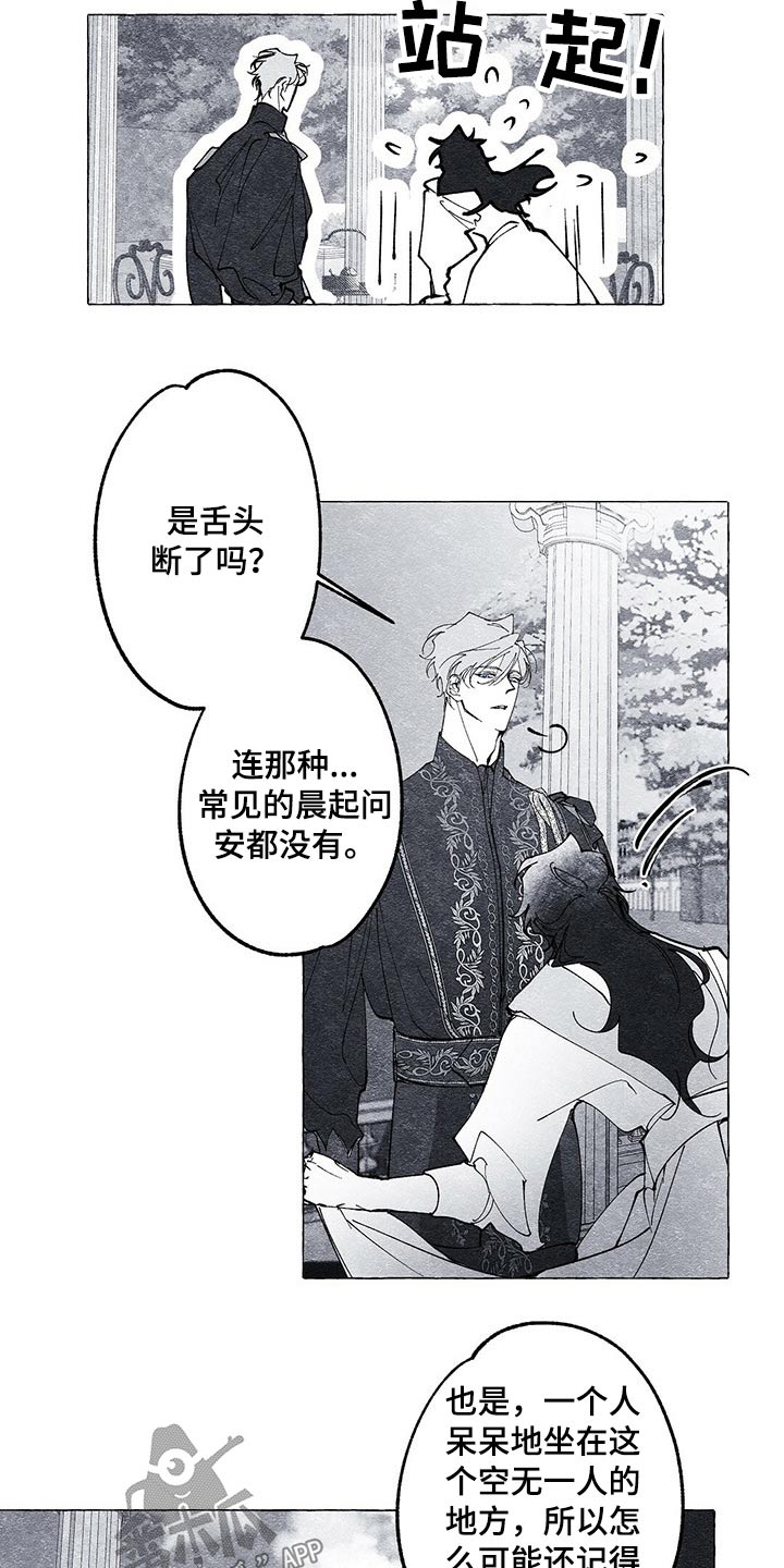 《面纱里的影》漫画最新章节第23章：什么关系免费下拉式在线观看章节第【11】张图片