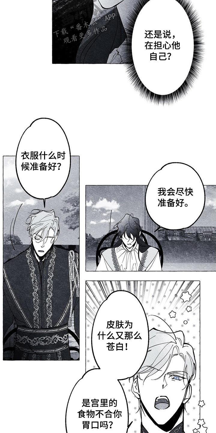 《面纱里的影》漫画最新章节第23章：什么关系免费下拉式在线观看章节第【4】张图片