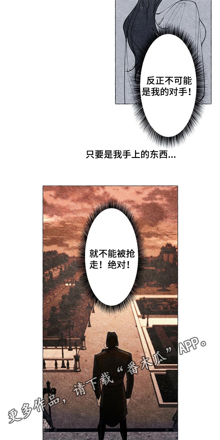 《面纱里的影》漫画最新章节第25章：手上的东西免费下拉式在线观看章节第【2】张图片