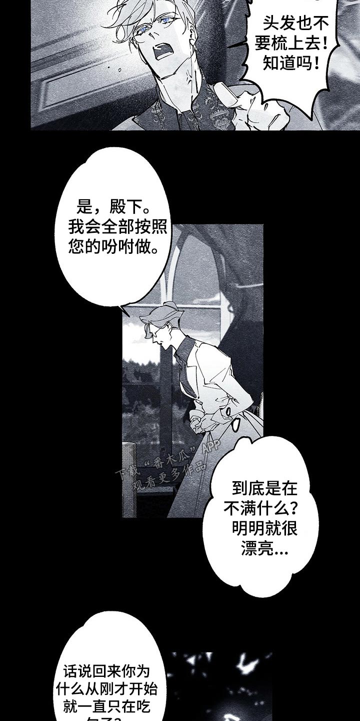 《面纱里的影》漫画最新章节第26章：嘱咐免费下拉式在线观看章节第【7】张图片