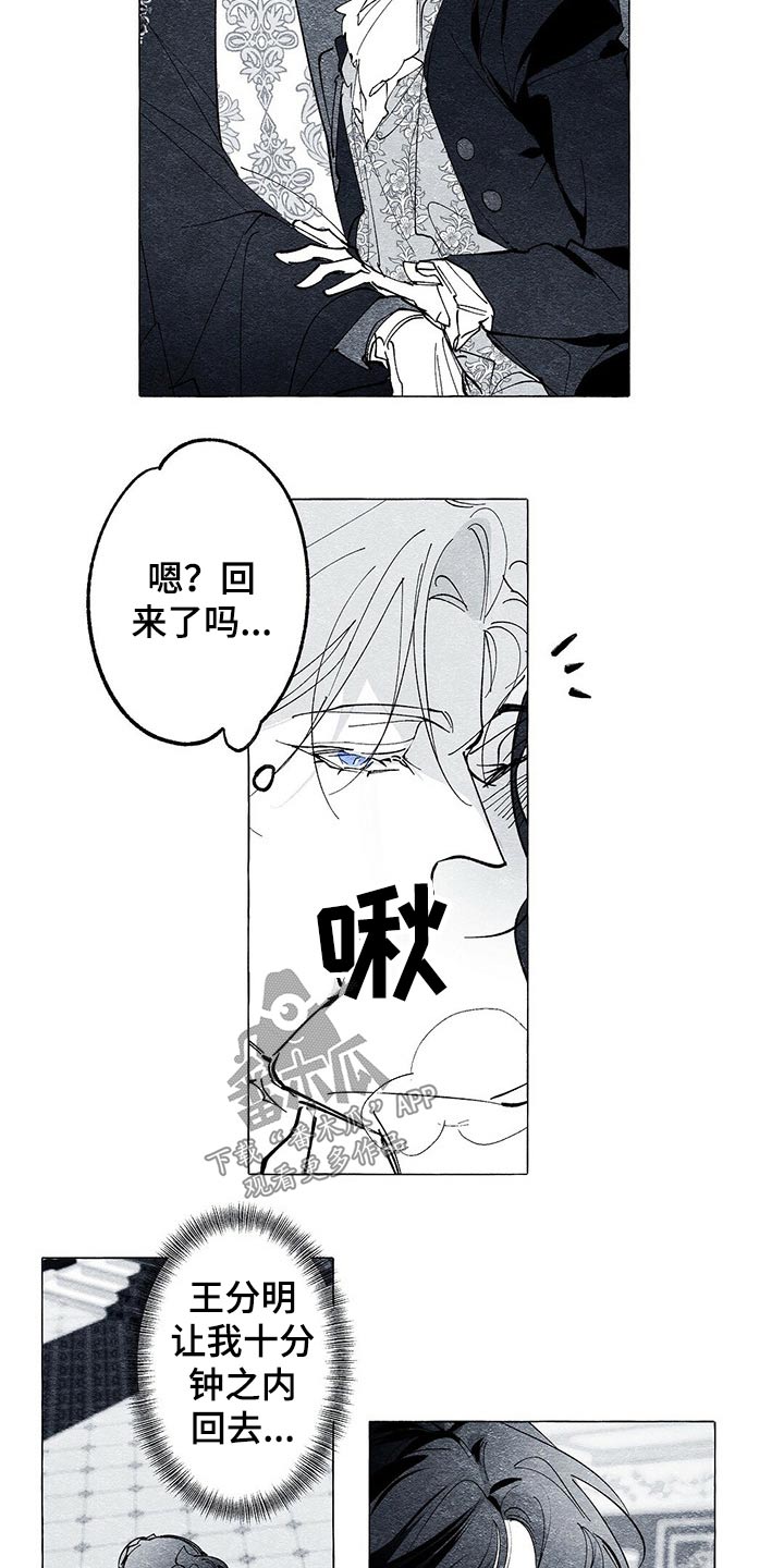 《面纱里的影》漫画最新章节第29章：义务免费下拉式在线观看章节第【11】张图片