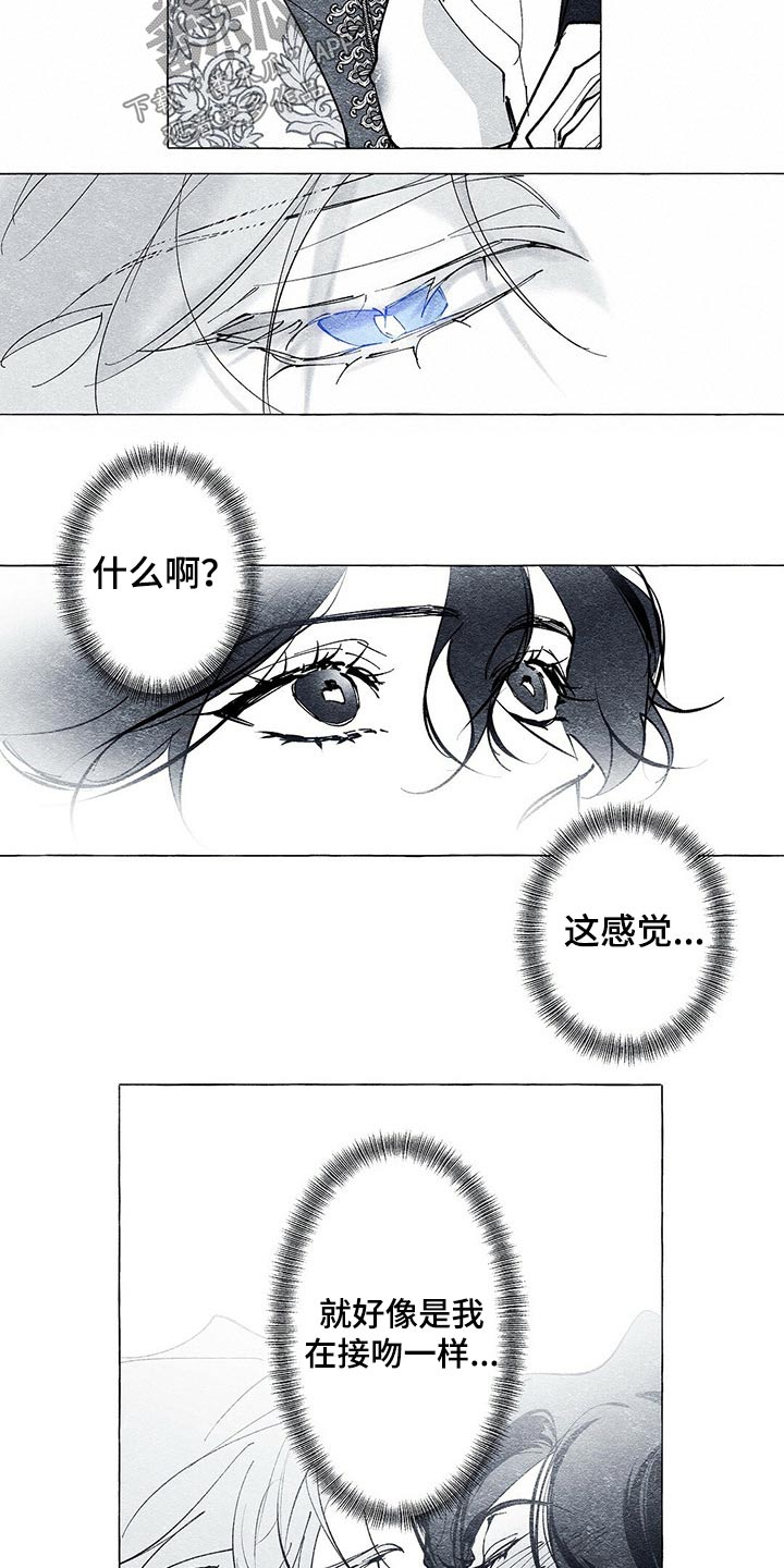 《面纱里的影》漫画最新章节第29章：义务免费下拉式在线观看章节第【7】张图片