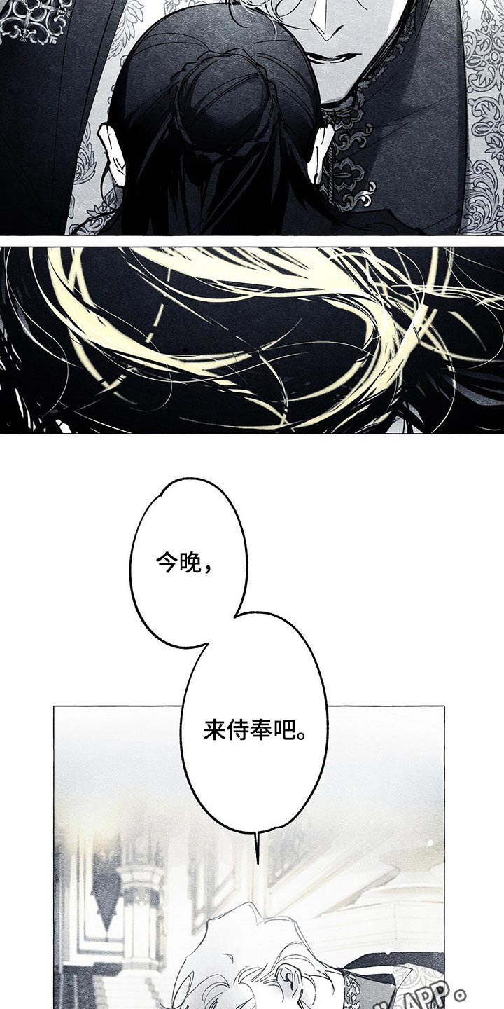 《面纱里的影》漫画最新章节第29章：义务免费下拉式在线观看章节第【2】张图片