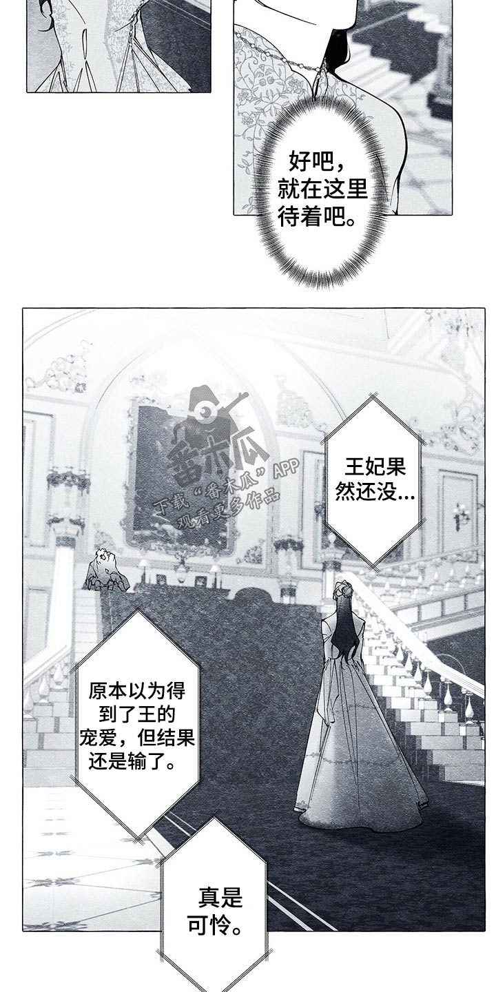 《面纱里的影》漫画最新章节第29章：义务免费下拉式在线观看章节第【9】张图片