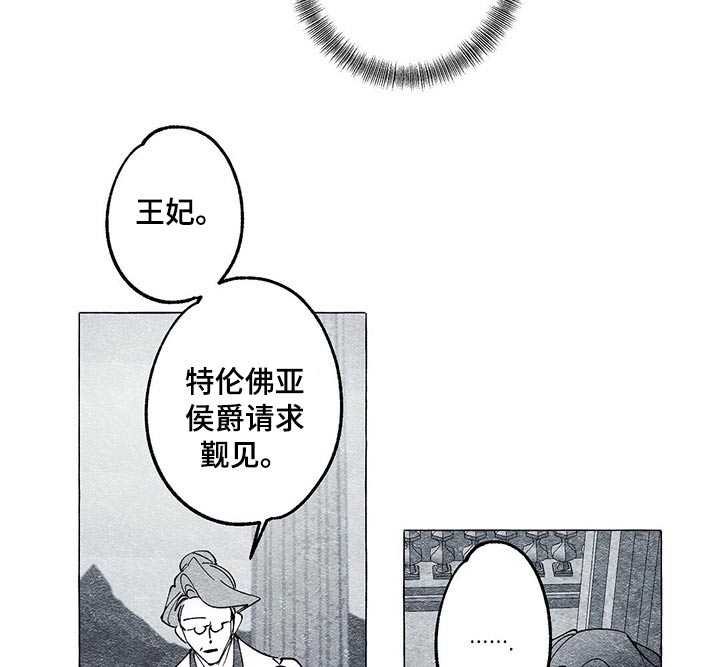 《面纱里的影》漫画最新章节第31章：出其不意免费下拉式在线观看章节第【10】张图片