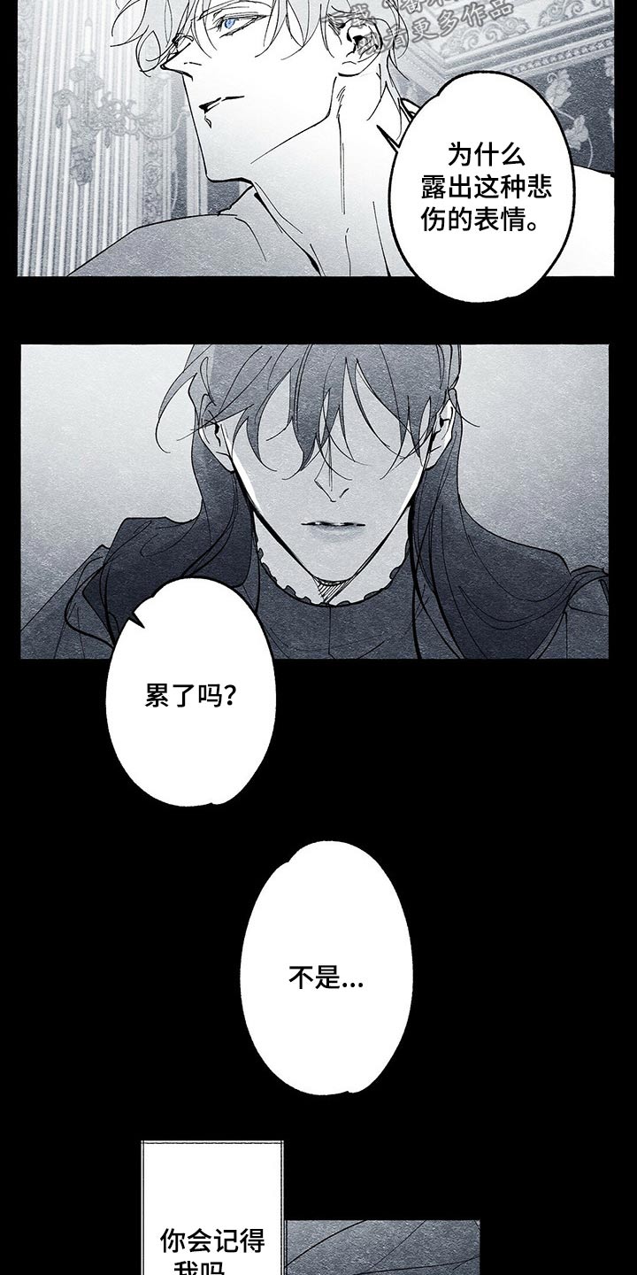 《面纱里的影》漫画最新章节第33章：王妃免费下拉式在线观看章节第【10】张图片