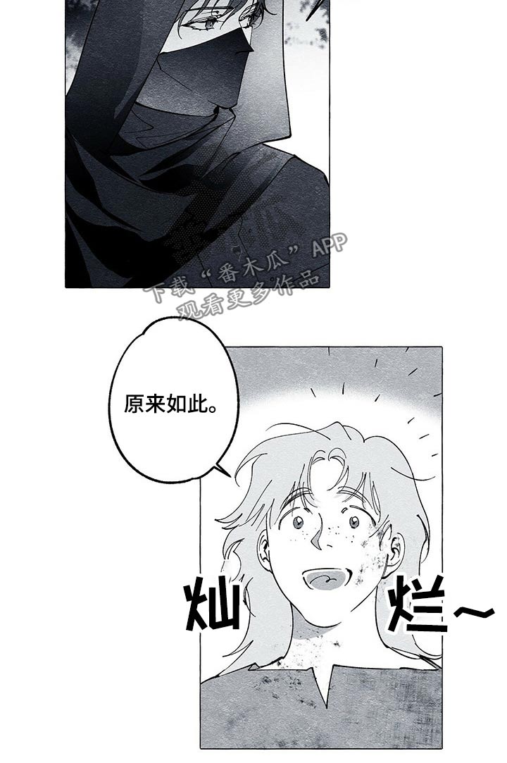 《面纱里的影》漫画最新章节第37章：解救免费下拉式在线观看章节第【12】张图片