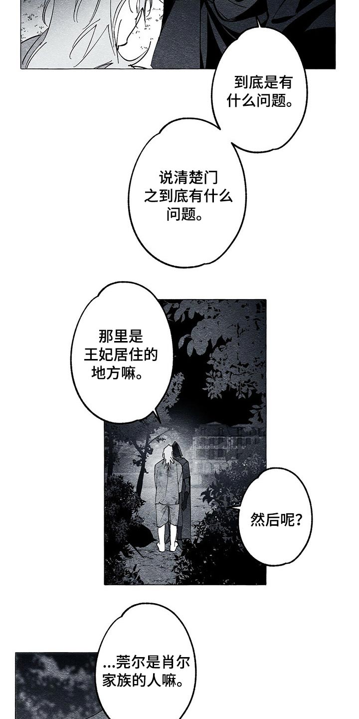 《面纱里的影》漫画最新章节第37章：解救免费下拉式在线观看章节第【6】张图片