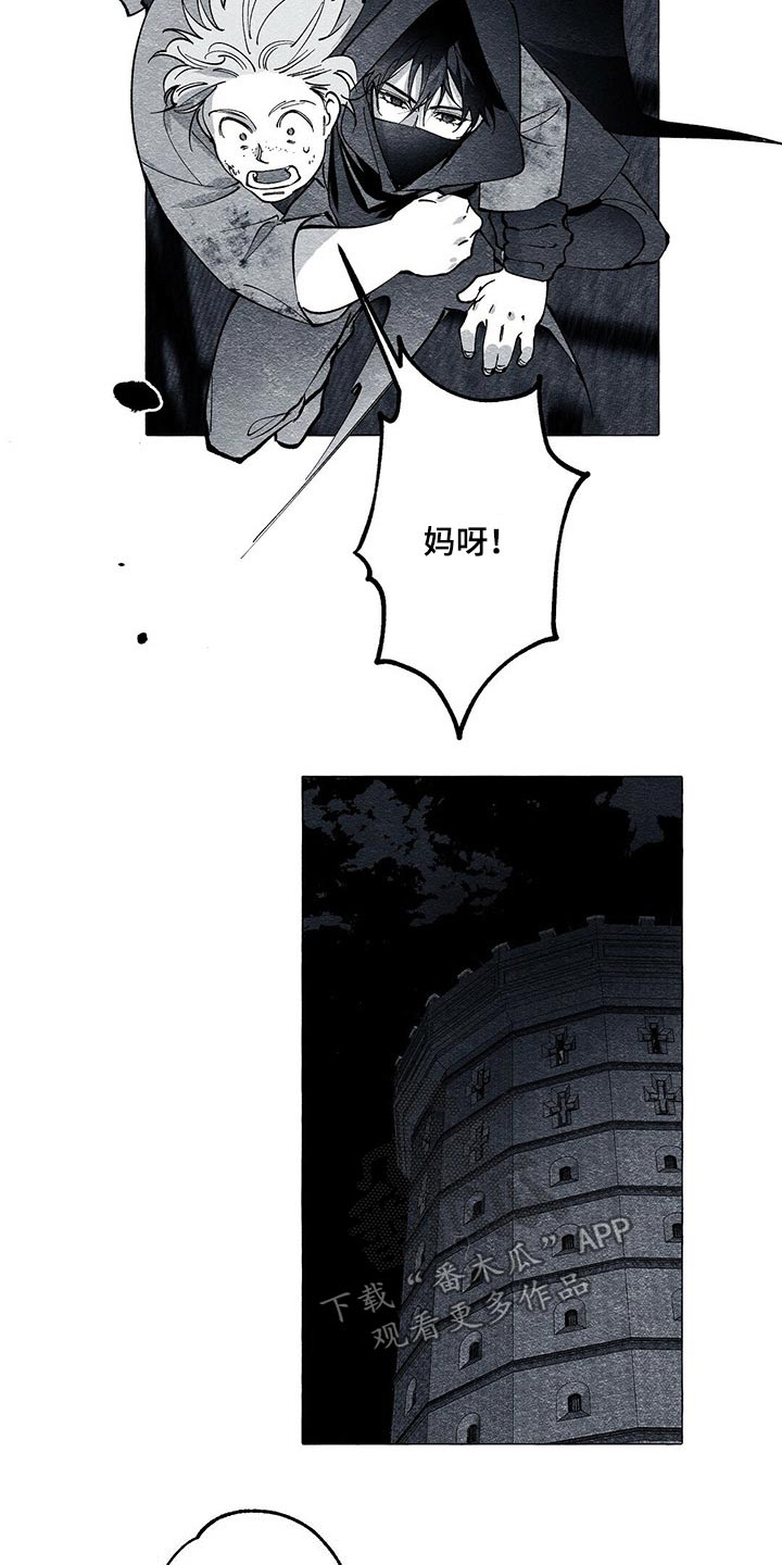 《面纱里的影》漫画最新章节第37章：解救免费下拉式在线观看章节第【14】张图片