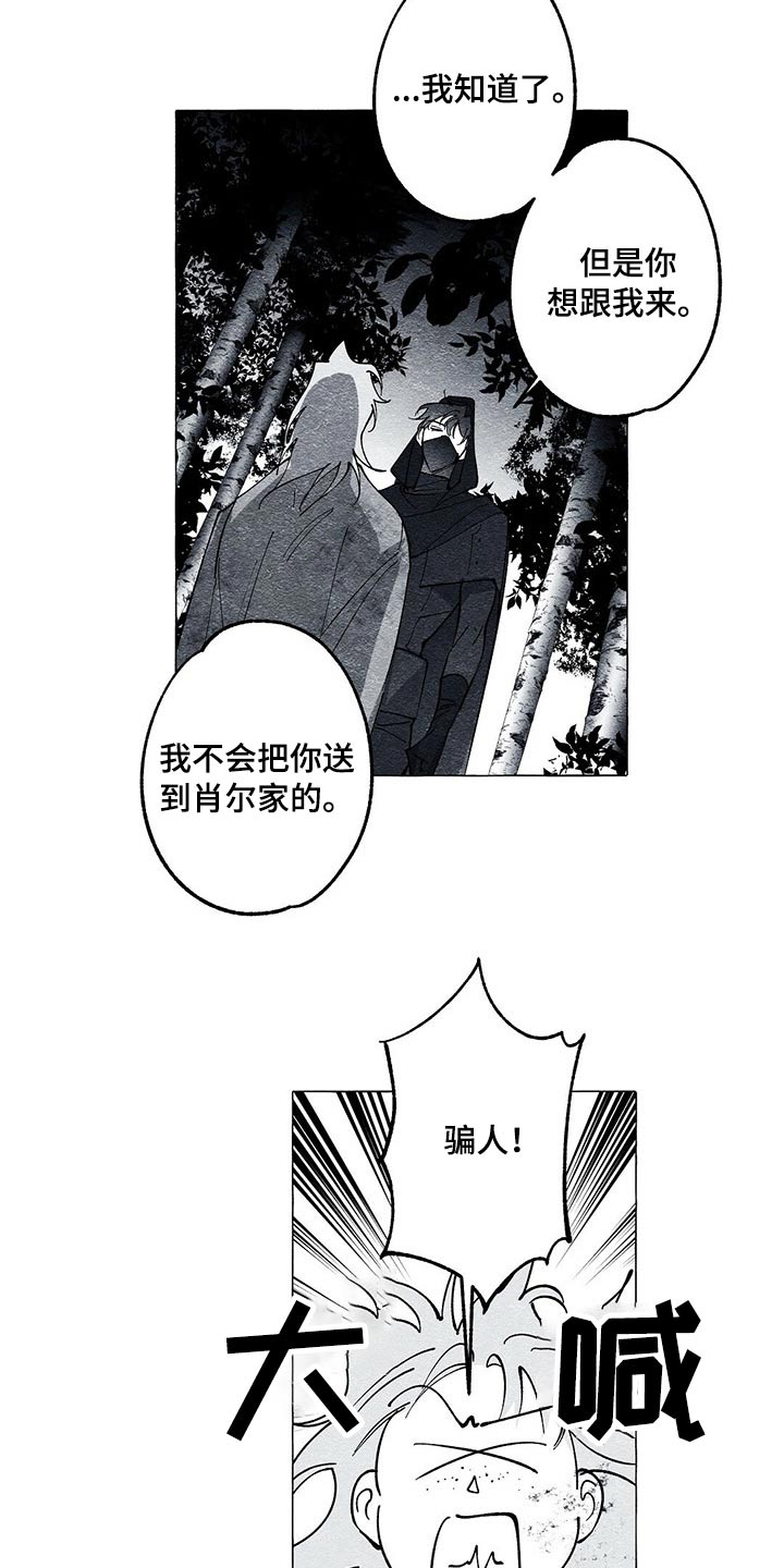 《面纱里的影》漫画最新章节第37章：解救免费下拉式在线观看章节第【4】张图片