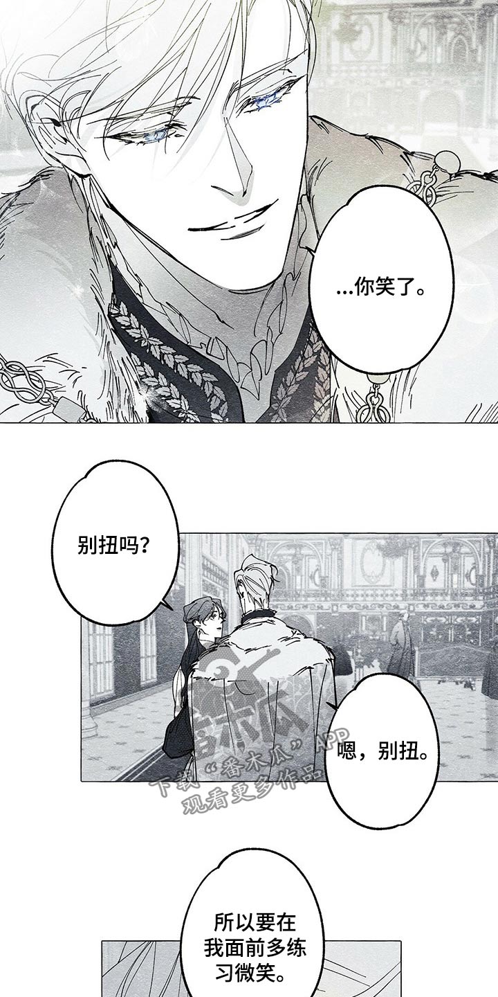 《面纱里的影》漫画最新章节第38章：暗杀免费下拉式在线观看章节第【5】张图片