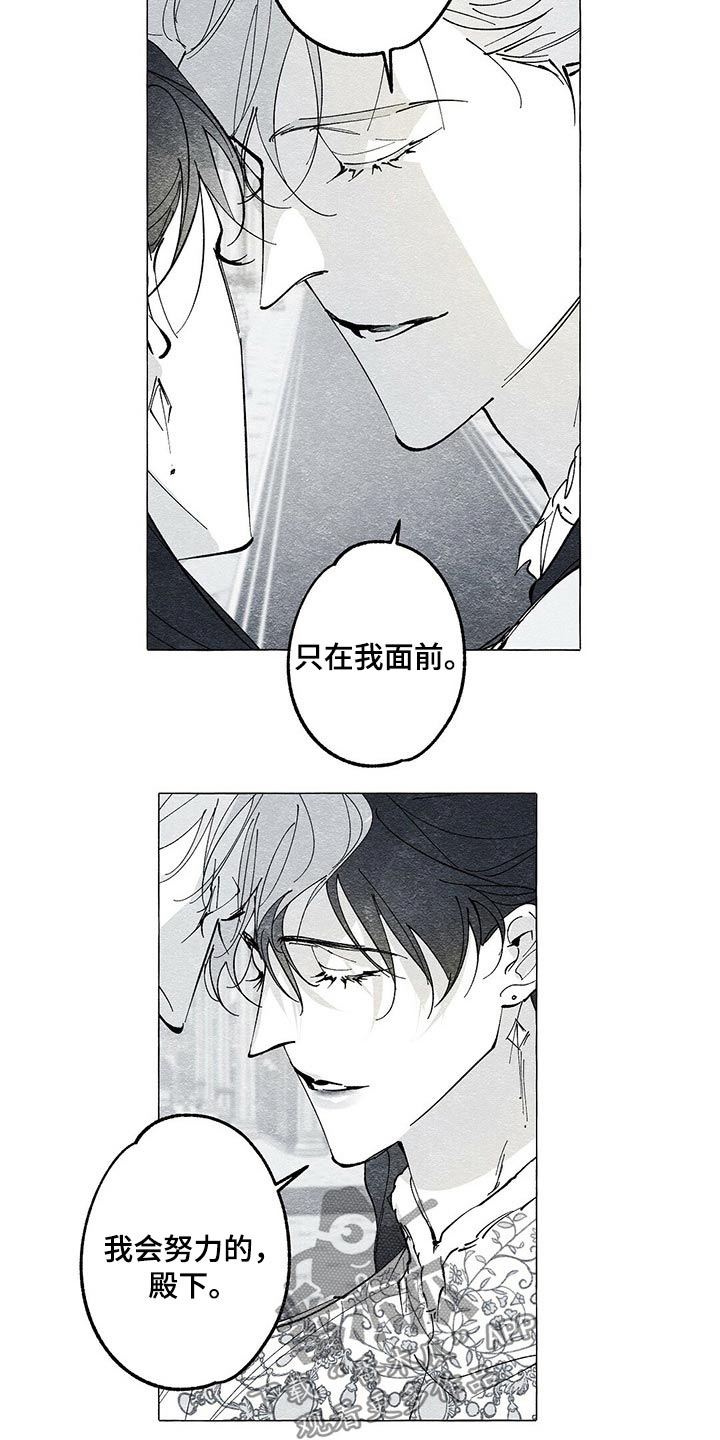 《面纱里的影》漫画最新章节第38章：暗杀免费下拉式在线观看章节第【4】张图片