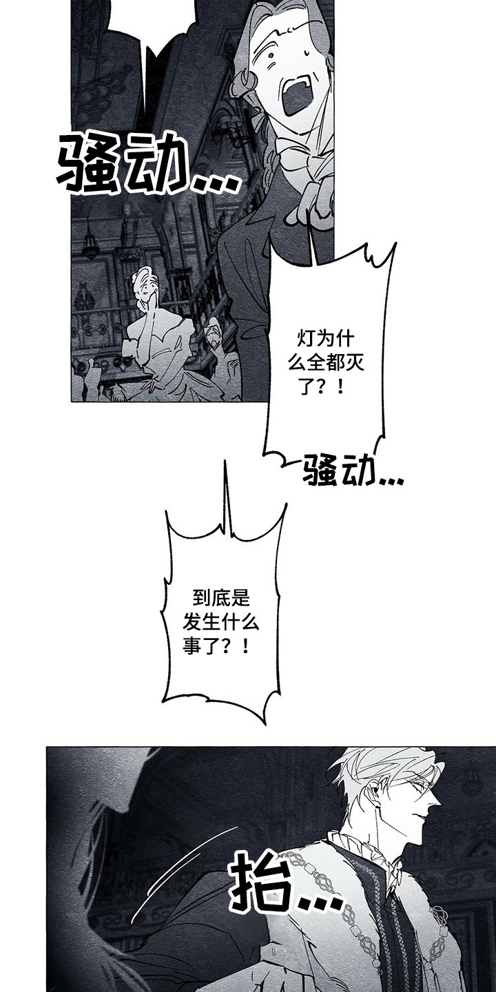 《面纱里的影》漫画最新章节第39章：黑衣人免费下拉式在线观看章节第【13】张图片