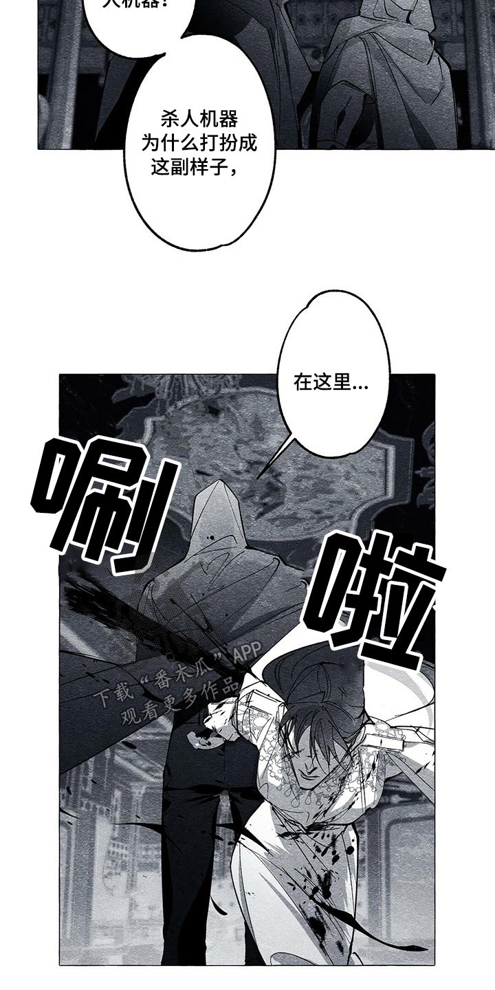 《面纱里的影》漫画最新章节第40章：厮杀免费下拉式在线观看章节第【10】张图片