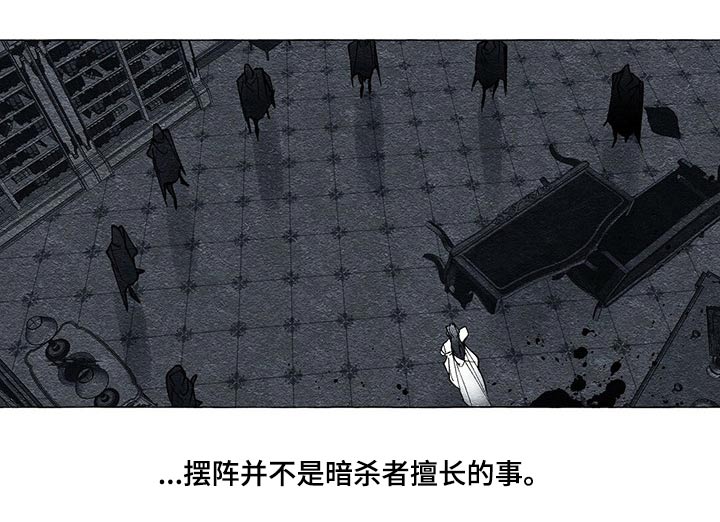 《面纱里的影》漫画最新章节第40章：厮杀免费下拉式在线观看章节第【9】张图片