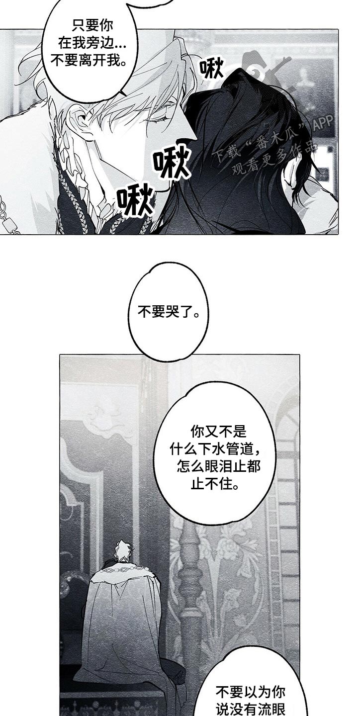 《面纱里的影》漫画最新章节第42章：审讯免费下拉式在线观看章节第【23】张图片